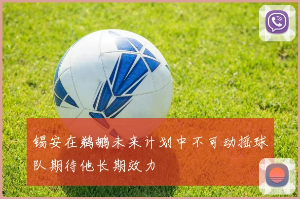 锡安在鹈鹕未来计划中不可动摇球队期待他长期效力